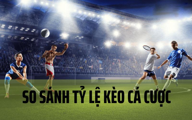 Tại sao phải so sánh tỉ lệ cược? Cùng Dabet học hỏi cách so sánh tỉ lệ cá cược đơn giản