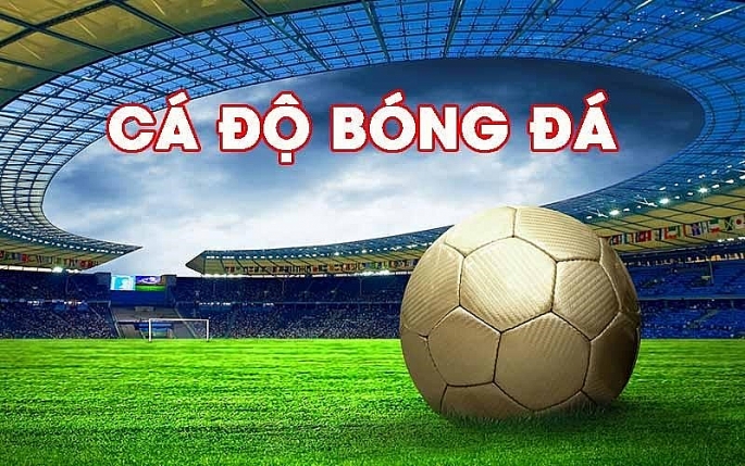 Có nên từ bỏ cá độ bóng đá? Con đường cá độ tại Dabet