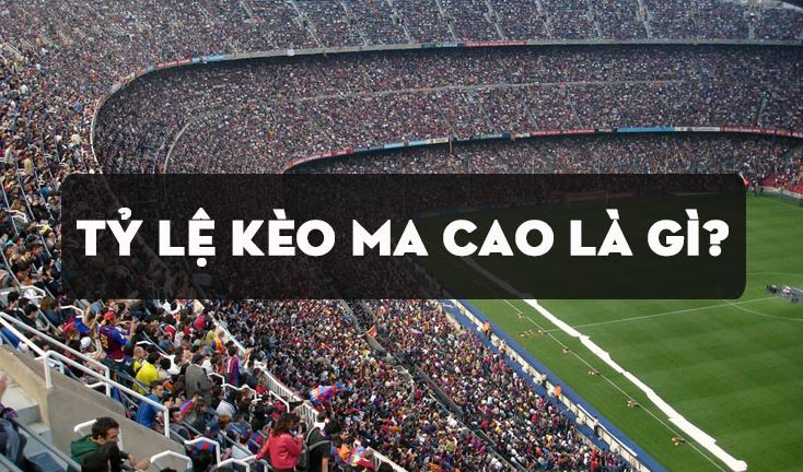 Tỉ lệ kèo Ma Cao là gì? Cùng Dabet tìm hiểu
