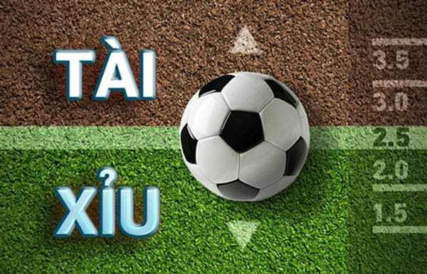 Chọn nhà cái cá cược uy tín để soi kèo Tài Xỉu B52